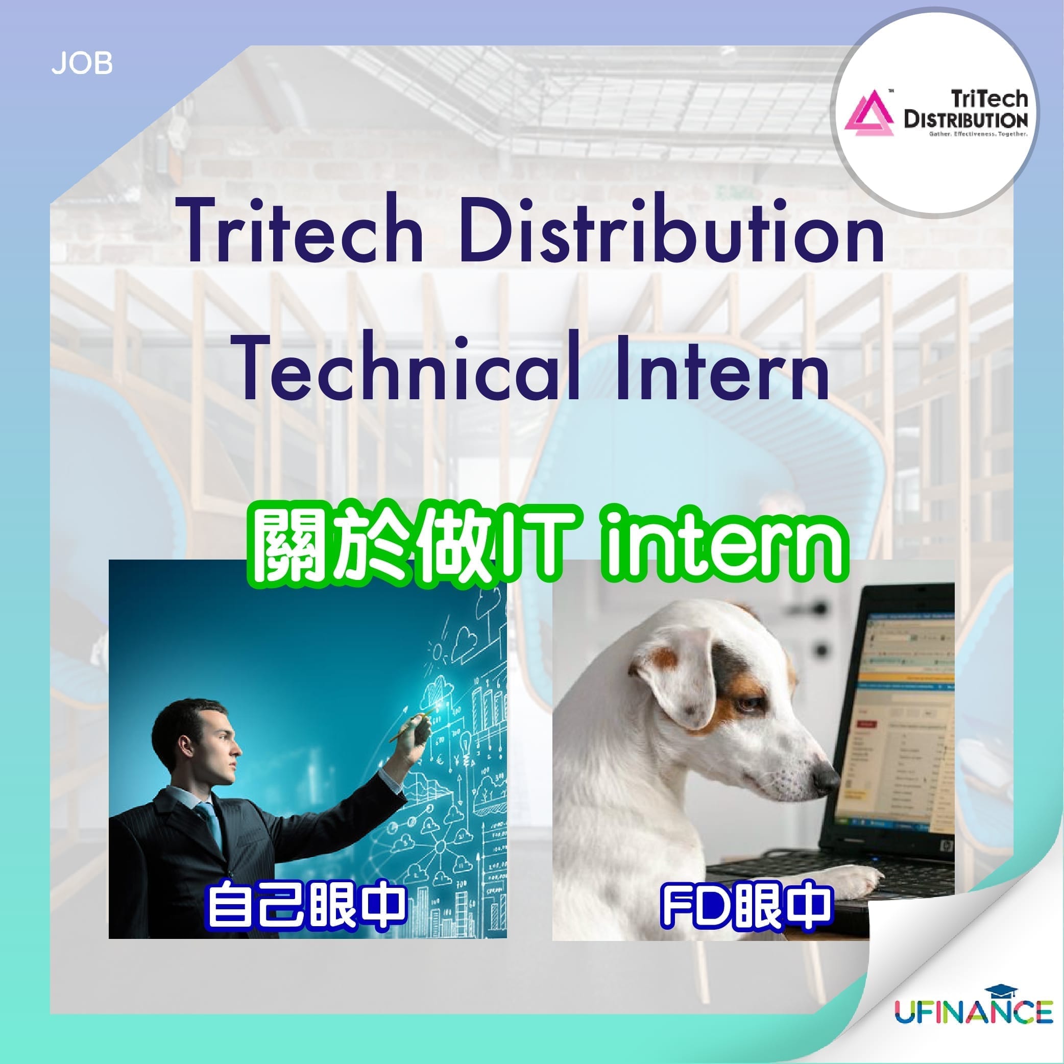 Tritech Distribution -Technical Intern