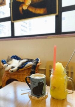 【貓奴狗奴望呢邊】11間香港特色貓狗Cafe（內有黃店）