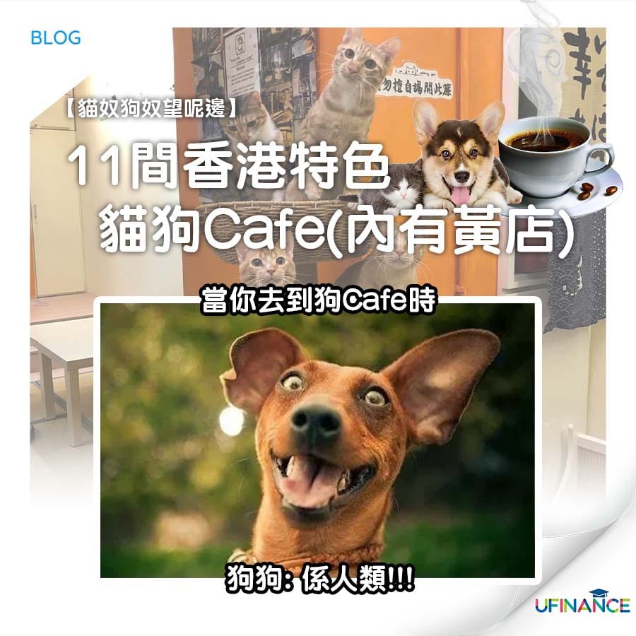 【貓奴狗奴望呢邊】11間香港特色貓狗Cafe（內有黃店）