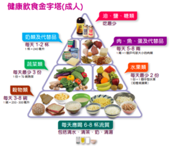 【Fact Check系列】食物金字塔一直係錯？你食野求L其 重新認識飲食營養