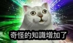 【迷因lover】4張同動物有關嘅meme來源